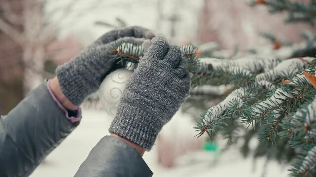 Close-up of female hand in grey glove hangs spangle white Christmas ball on snow-covered branch of blue spruce in the winter outdoors