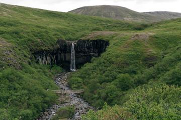 Svartifoss waterfall in the Skaftafell National Park, iceland