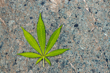 feuille de cannabis sur le marbre