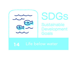 SDGs 14 海の豊かさを守ろう　英語