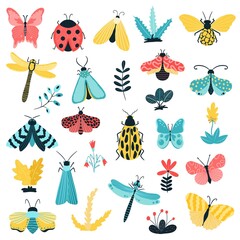 Hand-drawn butterflies, insects and flowers. Moth wings and spring colorful flying insect and beetle. Vector on a white background. - obrazy, fototapety, plakaty