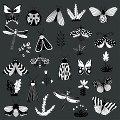 Butterflies, insects and flowers, hand-drawn collection of various elements, isolated elements on a white background