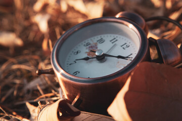 alarm clock on autumn leaves