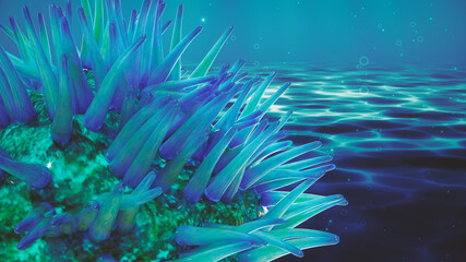 Fototapeta na wymiar Underwater beauty. Anemones.