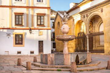 Plaza del Potro with a fountain crowned with a foal and a coat of arms in the Old Town Cordoba,...