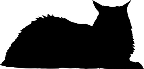 Maine Coon Cat Silhouettes SVG Maine Coon Cat Clipart