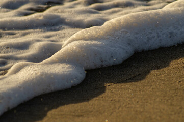 Wave