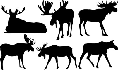 Moose Silhouettes SVG Moose Clipart