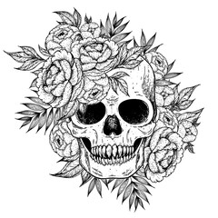 Obraz premium Skull and flowers hand drawn illustration. Tattoo vintage print. Skull sketch.