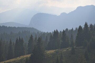 Mehrere Schichten von Bergspitzen mit Tannenbäume bedeckt  zwischen Wolken.