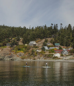 Whidbey Island Paddle Boarders