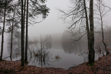 Lake and mist over water