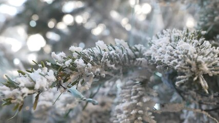 A close up view of a Christmas tree branches covered in artificial snow.
