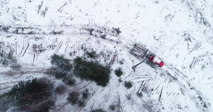 An aerial view of a small clear-cut area after deforestation with a red forwarder collecting timber on winter day in European forest, Estonia.