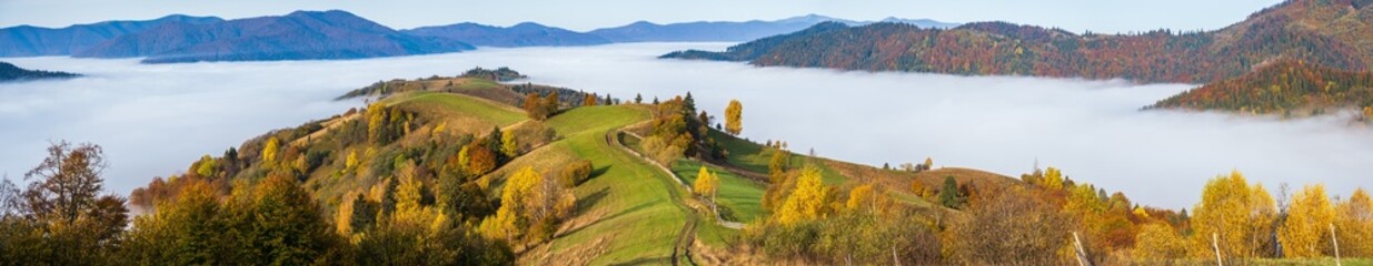 Fototapeta na wymiar Morning foggy clouds in autumn mountain countryside. Ukraine, Carpathian Mountains, Transcarpathia. Peaceful picturesque traveling, seasonal, nature and countryside beauty concept scene.