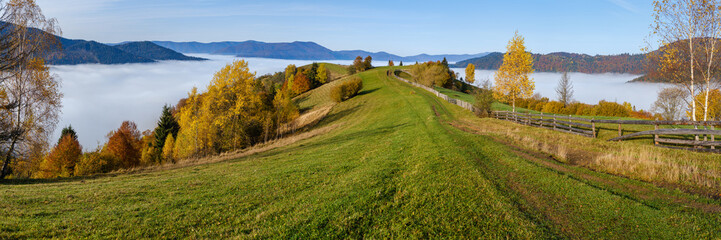 Fototapeta premium Morning foggy clouds in autumn mountain countryside. Ukraine, Carpathian Mountains, Transcarpathia. Peaceful picturesque traveling, seasonal, nature and countryside beauty concept scene.