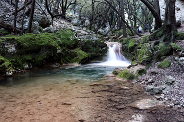 waterfall in the woods