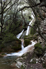 waterfall in the forest