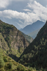 Fototapeta premium Mountain valley with forest vegetation. Landscape.