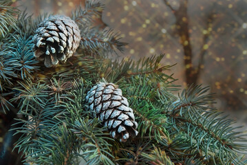 A branch of a blue spruce with cones decorated of white paint on background of night lights. A Christmas card for New Year with garlands and live branches of a Christmas tree with cones Place for text