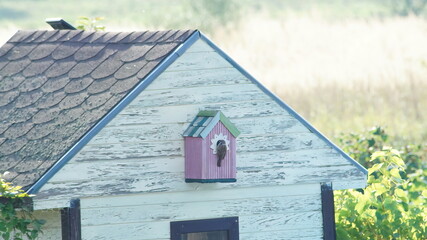 bird house in the sky