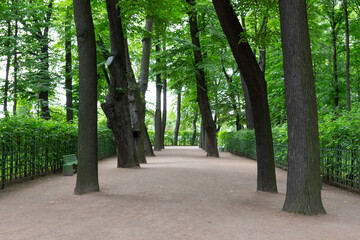 Empty shady park alley in the Summer garden in Saint Petersburg, Russia