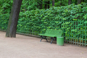 Empty bench on a shady alley in a summer park