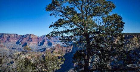 Obraz premium Grand Canyon National Park, Arizona, USA - November 22, 2021: Panoramic View of the Grand Canyon as Seen from the South Rim on a Bright, Clear Autumn Afternoon