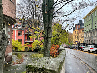 Historic residential Eira in fall colors, Helsinki, Finland