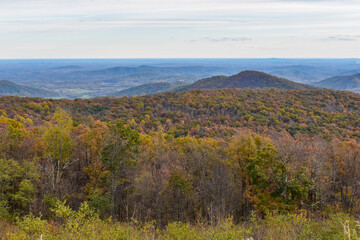 Fototapeta na wymiar Shenandoah National Park, Virginia, USA - November 3, 2021: Mountain Scenery With Beautiful Fall Trees in the Foreground and a Bright Blue Sky in the Background