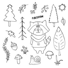 Cute Raccoon in forest. Cartoon Animal in Woodland with trees and plants. Vector illustration