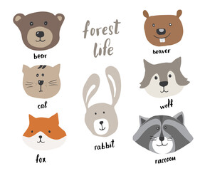 Cute Animal heads. Cartoon forest wildlife animals collection, fox, wolf, bear, beaver, raccoon, rabbit and wild cat. Vector illustration