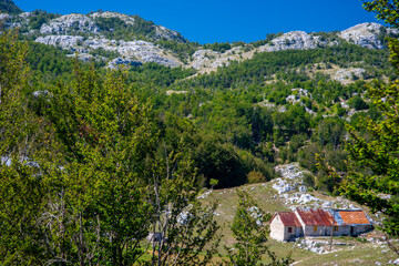 Lovcen National Park mountain landscape,Montenegro,Eastern Europe.