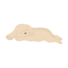 Cute beige puppy in cartoon style sleeps stretched out on his stomach. For web icons, postcards, children's design, etc. Vector illustration isolated on a white background.