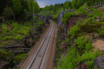 Obraz premium railway in the forest