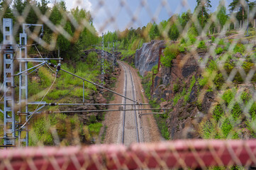 dragonfly on the fence