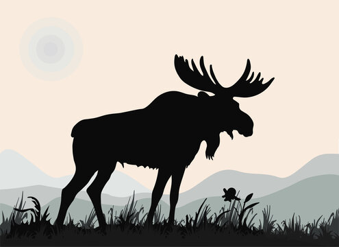 one mighty moose stands, isolated images on the background of a monochrome landscape