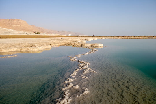 Shore of the Dead Sea