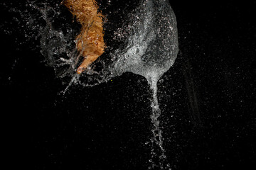 Burst water balloon background