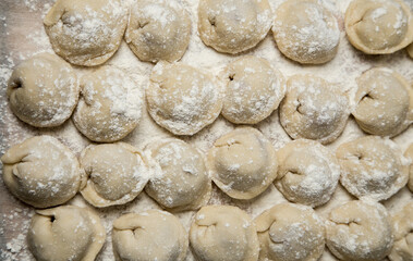 making homemade dumplings