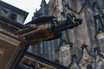 Gargoyle at St. Vitus Cathedral in Prague