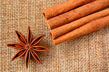 seeds seasoning star anise and group sticks of cinnamon close up on canvas fabric