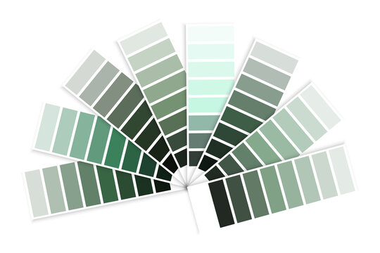 Color palette of dirty green. Graphic decor. Design art. Home interior concept. Vector illustration. Stock image. 