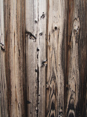 Old burned wood wall of ancient Japanese housing texture. 焼杉外壁板のテクスチャー（縦位置画像）