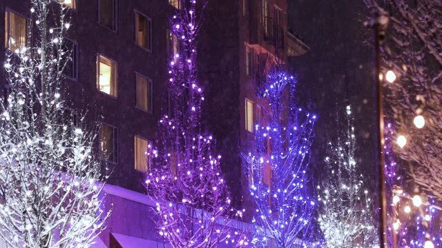 christmas tree lights during a snow fall