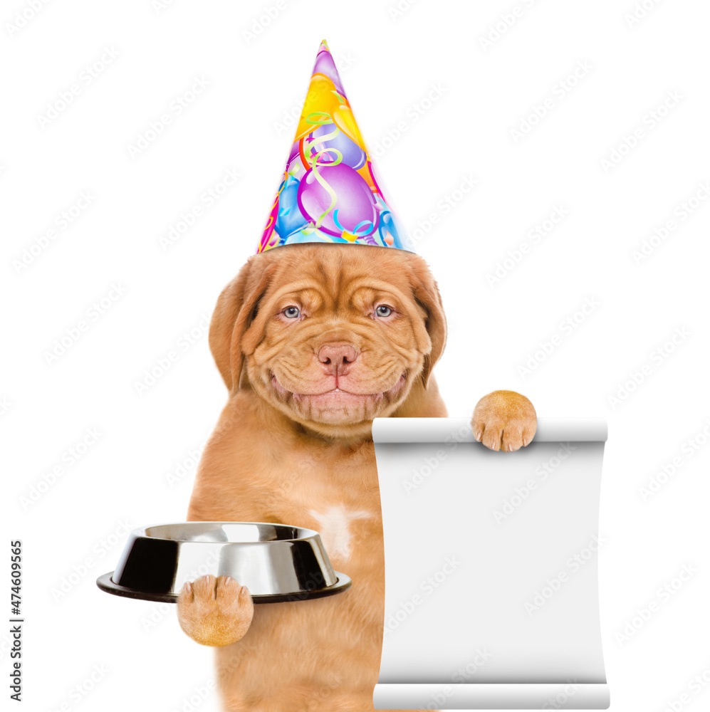 Aufkleber Smiling puppy with open mouth wearing a party hat holds empty bowl and shows empty list. isolated on white background