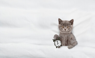 Cute cozy kitten holds alarm clock and lies under white blanket on a bed at home. Top down view....