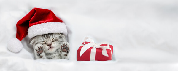 Cozy kitten wearing red santa hat sleeps with gift box under a white blanket on a bed. Top down view. Empty space for text
