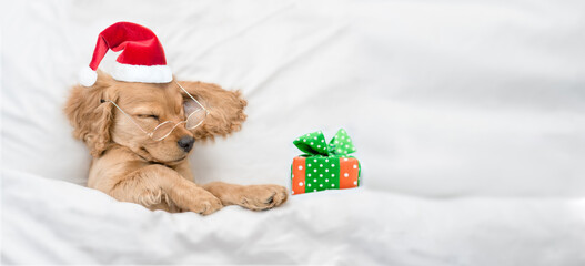 Funny English Cocker spaniel puppy wearing eyeglasses and red santa hat sleeps with gift box under...