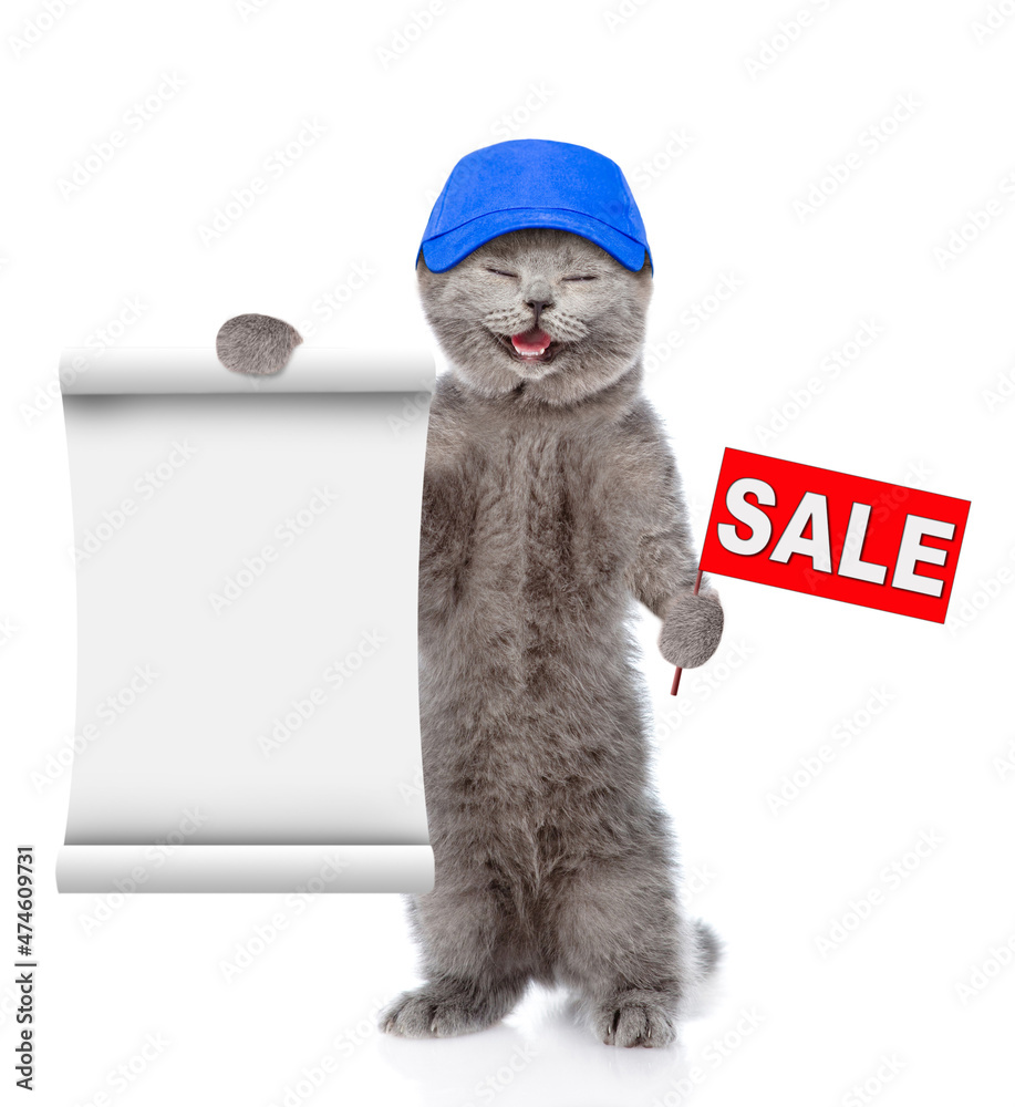 Poster happpy kitten wearing blue cap shows sales symbol and empty list. isolated on white background